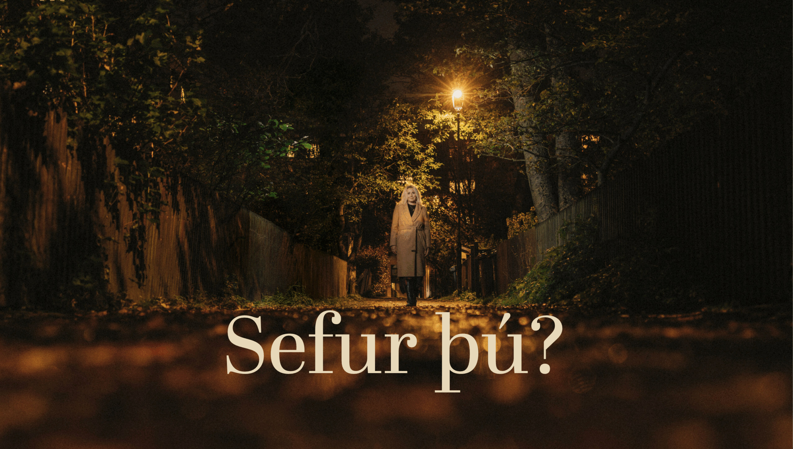 Screenshot 2025-10-05 at 12.02.02 Auglýsing