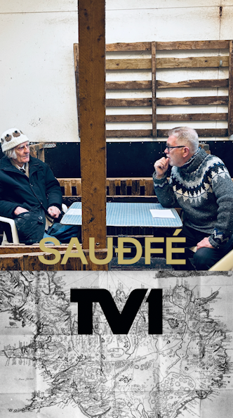 Ólafur Dýrmundarson