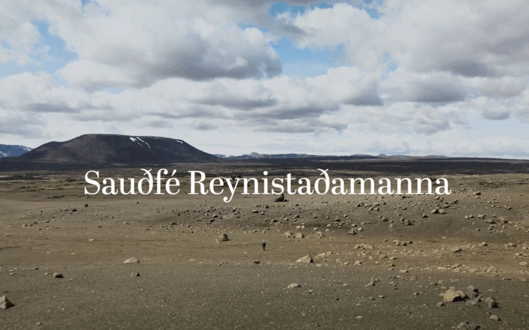 Sauðfé Reynistaðabræðra